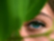 image of a woman's eye peeping through leaves